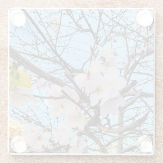 Cherry Blossom Untersetzer (Rückseite)