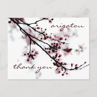 Cherry Blossom Vielen Dank Postkarte