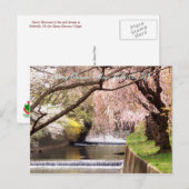 Cherry Blossom Village 04 Postkarte (Vorne/Hinten)