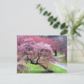 Cherry Blossom Village 05 Postkarte (Stehend Vorderseite)