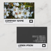Cherry Blossom Visitenkarte (Vorne/Hinten)