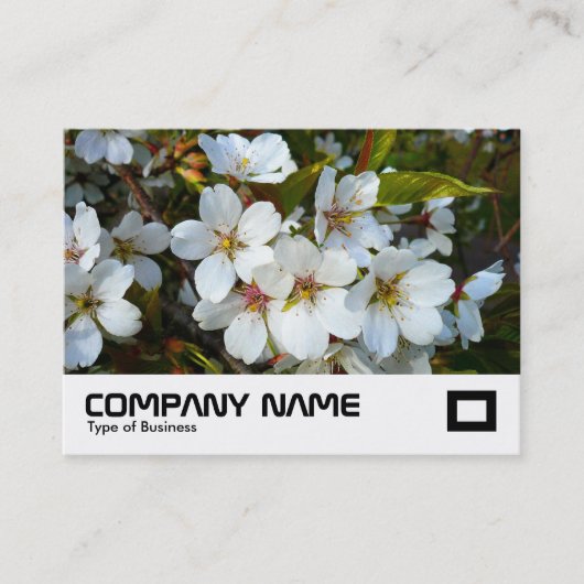 Cherry Blossom Visitenkarte (Vorderseite)