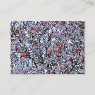 Cherry Blossom Visitenkarte