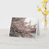 Cherry Blossom Washington DC Karte (Gelbe Blume)