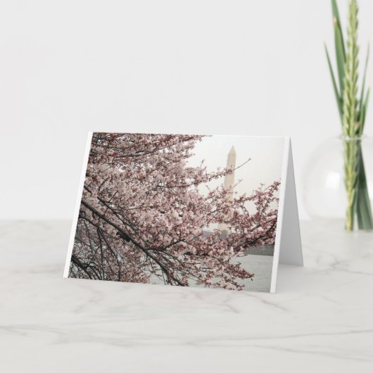 Cherry Blossom Washington DC Karte (Vorderseite)
