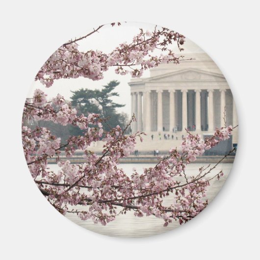 Cherry Blossom Washington DC Magnet (Vorne)