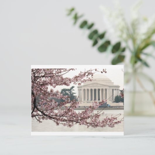 Cherry Blossom Washington DC Postkarte (Stehend Vorderseite)