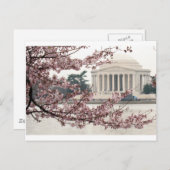 Cherry Blossom Washington DC Postkarte (Vorne/Hinten)