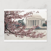 Cherry Blossom Washington DC Postkarte (Vorderseite)