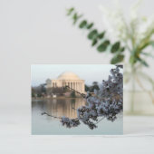 Cherry Blossom Washington DC Postkarte (Stehend Vorderseite)
