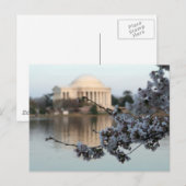 Cherry Blossom Washington DC Postkarte (Vorne/Hinten)