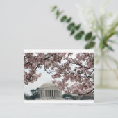 Cherry Blossom Washington DC Postkarte (Stehend Vorderseite)
