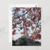 Cherry Blossom Washington DC Postkarte (Vorne/Hinten)