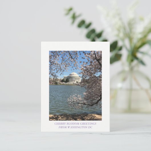 CHERRY BLOSSOM WASHINGTON DC POSTKARTE (Stehend Vorderseite)