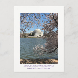 CHERRY BLOSSOM WASHINGTON DC POSTKARTE