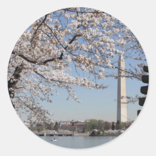 Cherry Blossom Washington DC Runder Aufkleber