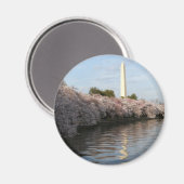 Cherry Blossom Washington Denkmal Magnet (Vorderseite/Rückseite)