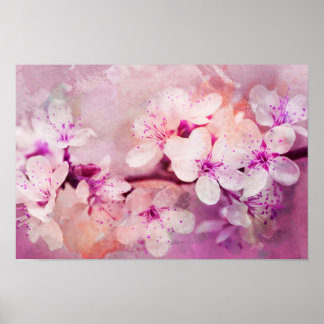 Cherry Blossom Wasserfarben Kunst, Dichtung und Mu Poster