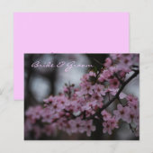Cherry Blossom Wedding Postkarte (Vorne/Hinten)