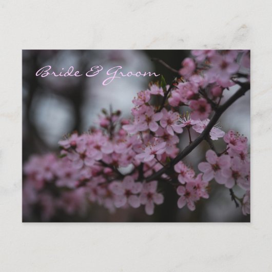 Cherry Blossom Wedding Postkarte (Vorderseite)