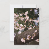 Cherry Blossom Wedding RSVP Karte (Rückseite)