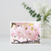 Cherry Blossom "Yae-benitoranowo" Postkarte (Stehend Vorderseite)