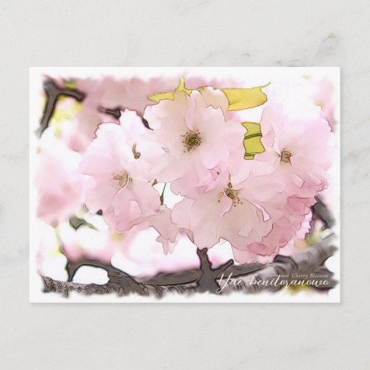Cherry Blossom "Yae-benitoranowo" Postkarte (Vorderseite)