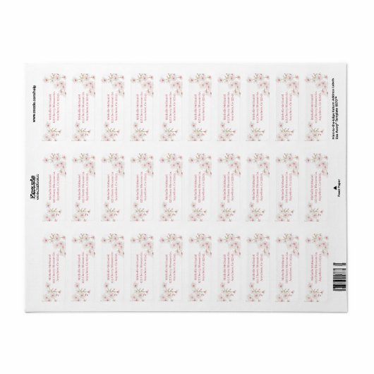 Cherry Blossoms (Vorne)