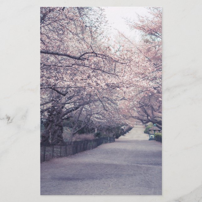 Cherry Blossoms (Vorderseite)