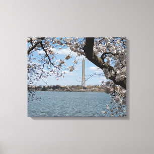 CHERRY BLOSSOMS #1 AUF LEINWAND 20 "x 16"
