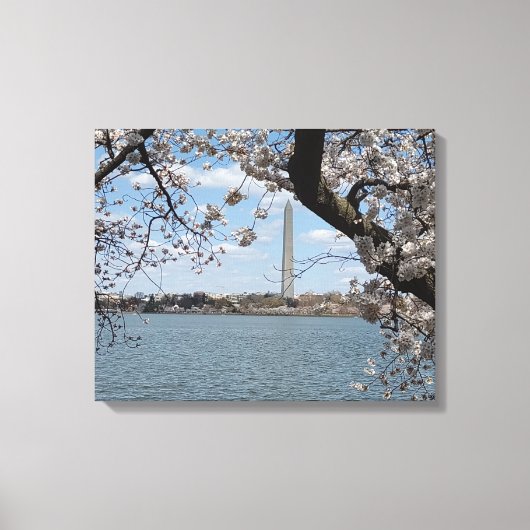 CHERRY BLOSSOMS #1 AUF LEINWAND 20 "x 16" (Vorderseite)