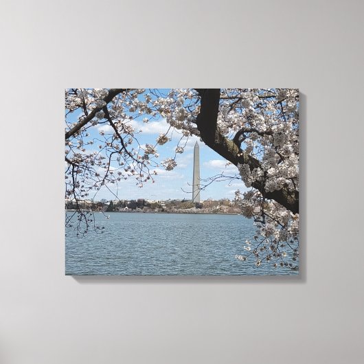 CHERRY BLOSSOMS #1 AUF LEINWAND 20 "x 16" (Vorderseite)