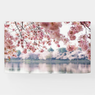 Cherry Blossoms Banner