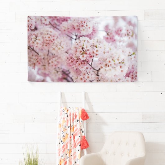Cherry Blossoms Banner (Insitu)