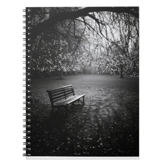 Cherry Blossoms Bench Sunrise Notebook Notizblock (Vorderseite)