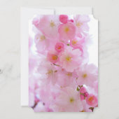 Cherry Blossoms Brautparty Einladung (Rückseite)