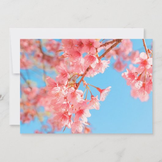 Cherry Blossoms Bridal Dusche Einladung (Rückseite)