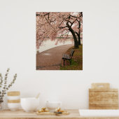 Cherry Blossoms Canvas Print Poster (Küche)