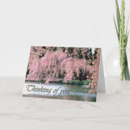 Cherry Blossoms Condolence Card Karte