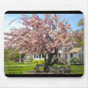 Cherry Blossoms, Elizabeth Park, Hartford CT Mousepad