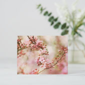 Cherry Blossoms Foto Postkarte (Stehend Vorderseite)