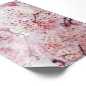 Cherry Blossoms Fotodruck (Ecke)