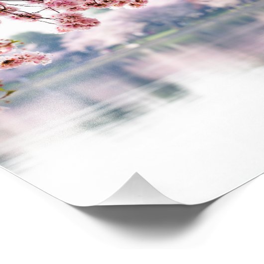 Cherry Blossoms Fotodruck (Ecke)