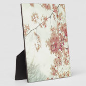 Cherry Blossoms Fotoplatte (Seite)