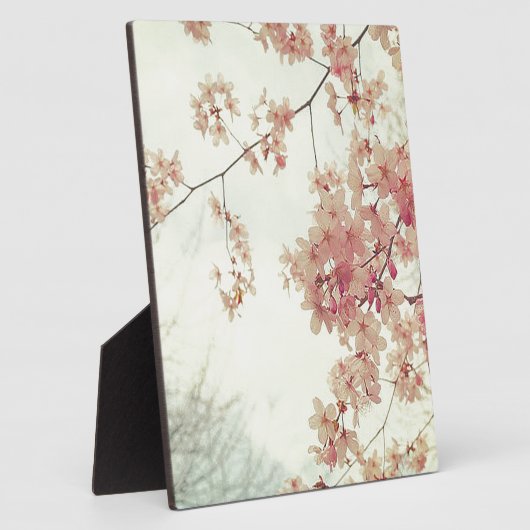 Cherry Blossoms Fotoplatte (Seite)