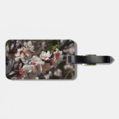 Cherry Blossoms Gepäckanhänger (Rückseite horizontal)