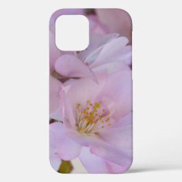 Cherry Blossoms Geschenkboxen Case-Mate iPhone Fal Case-Mate iPhone Hülle