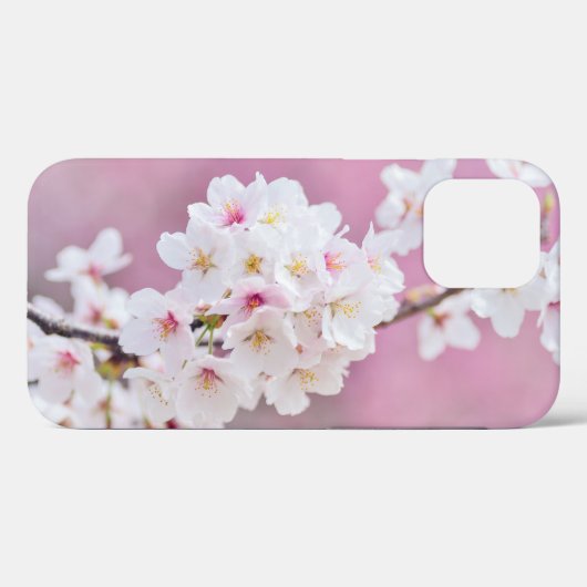 Cherry Blossoms Geschenkboxen Case-Mate iPhone Fal Hülle (Rückseite (Horizontal))
