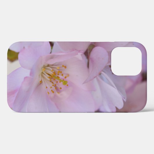 Cherry Blossoms Geschenkboxen Case-Mate iPhone Fal Hülle (Rückseite (Horizontal))