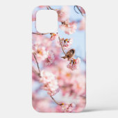 Cherry Blossoms Geschenkboxen Case-Mate iPhone Hülle (Rückseite)